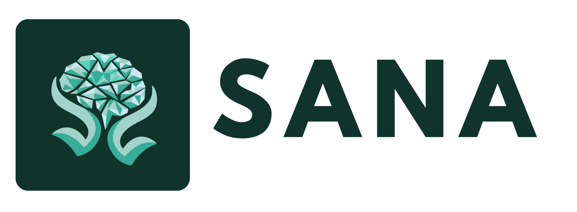 SANA Inteligência Corporativa
